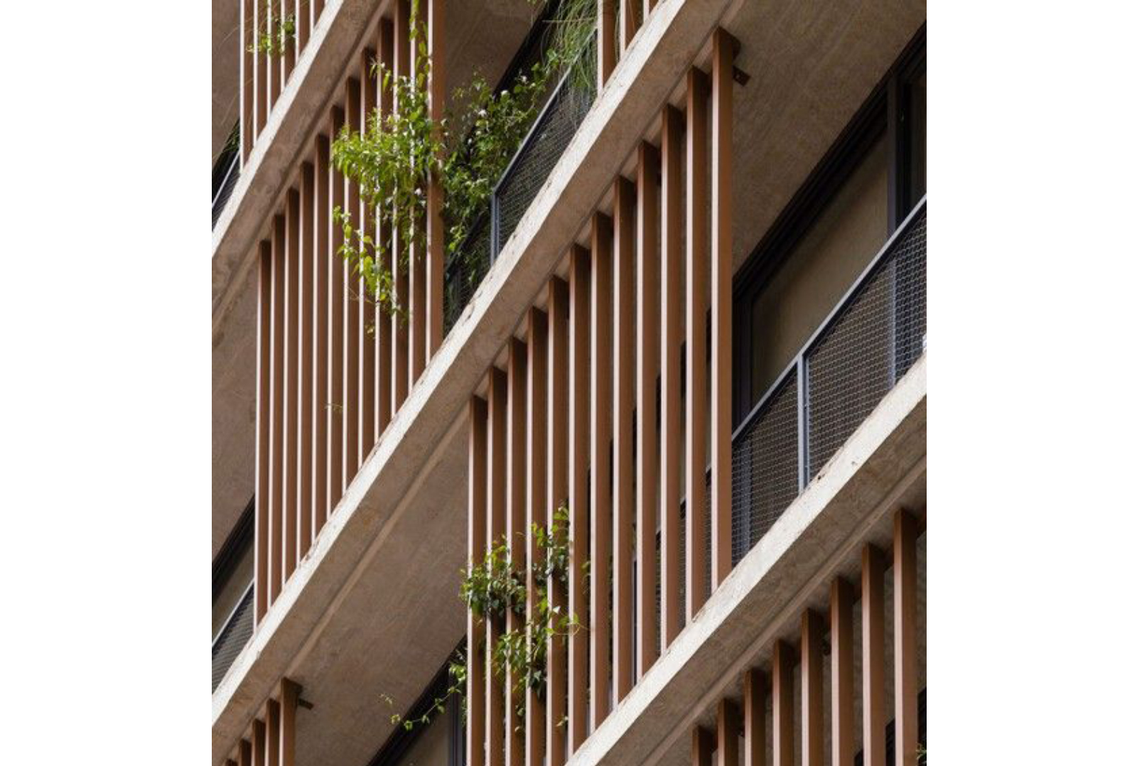 Sleek and contemporary louvers by Axes in Excess, setting new standards in design.